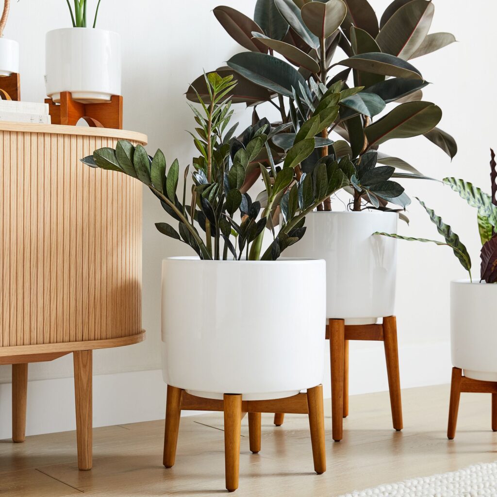 eco friendly interior design