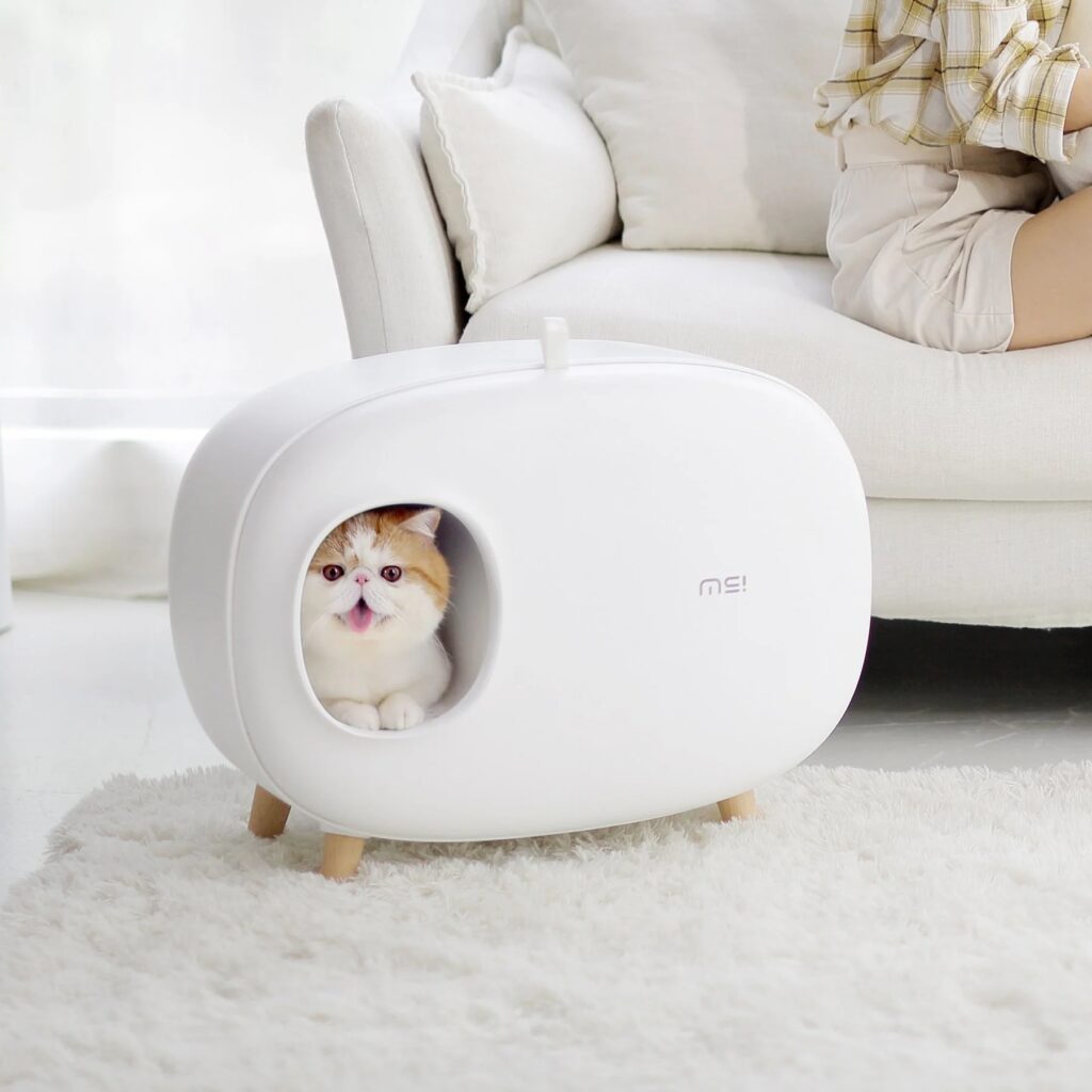 Stylish home essentials