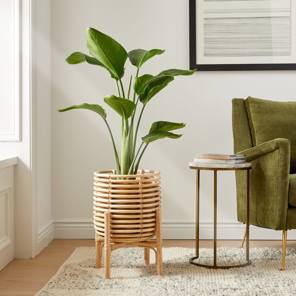 summer home decor ideas