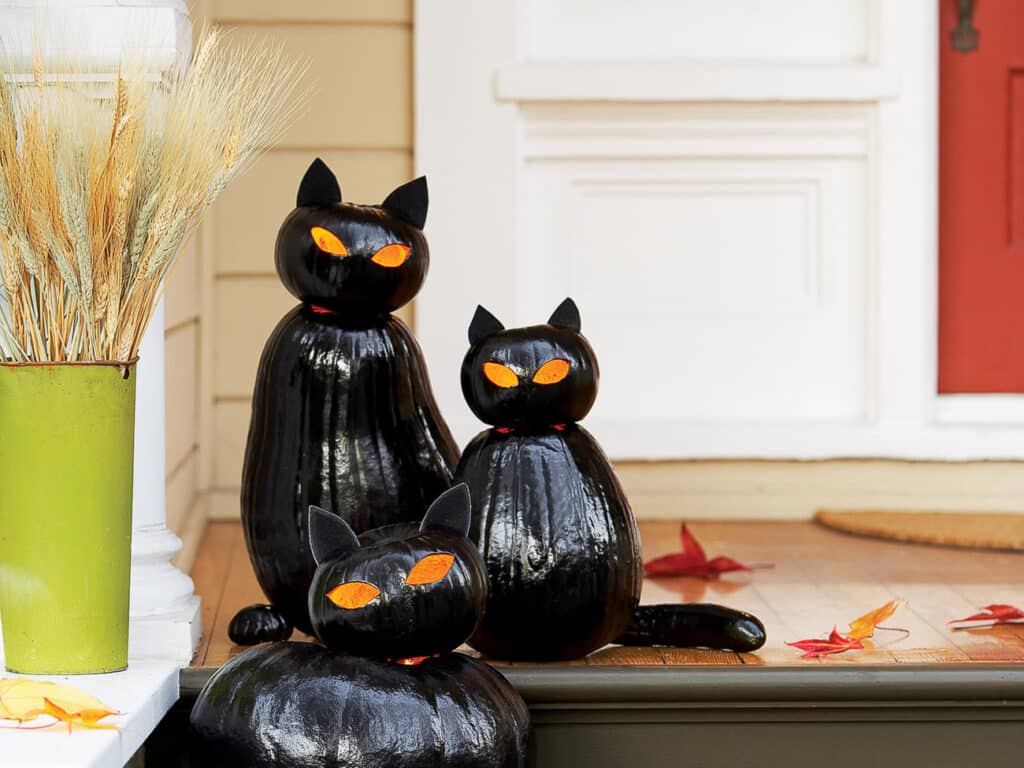 Pumkins s -au transformat în felinare pentru pisici negre pentru idei de decor de Halloween